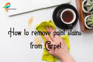 How to remove paint stains from Carpet